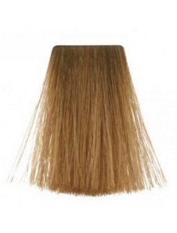 TINTE PQ 60 GR Nº 09-7 -...