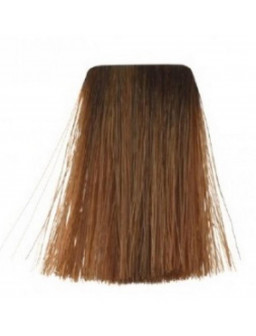 TINTE PQ 60 GR Nº 07-77 -...