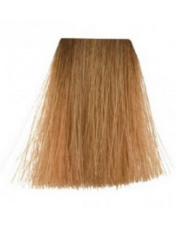 TINTE PQ 60 GR Nº 09-77 -...