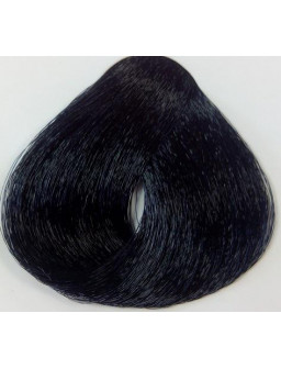 Nº 1.1 TINTE BRIGHT C NEGRO...