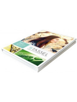 CARTA DE COLOR TINTES TASSEL