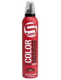 ESPUMA COLOR PQ 300 ML. PLATA