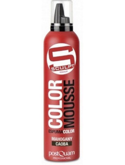 ESPUMA COLOR PQ 300ML. CAOBA