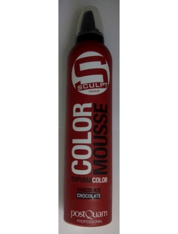 ESPUMA COLOR PQ 300 ML....