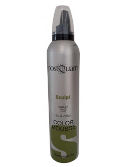 ESPUMA COLOR PQ 300 ML....