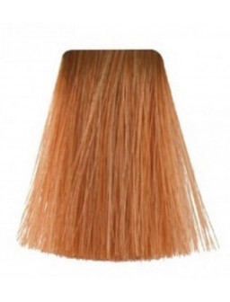 TINTE PQ 60 GR Nº 09-4 -...