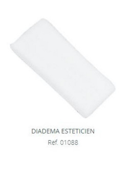DIADEMA ESTETICIEN POLLIE