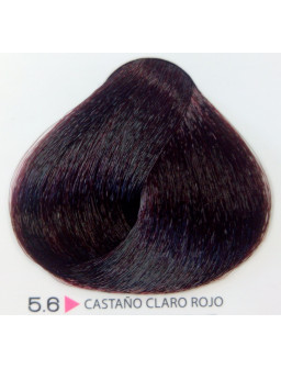 Nº 5.6 TINTE BRIGHT C...