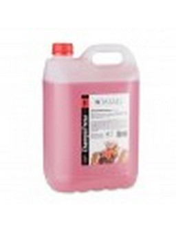 CHAMPU NEUTRO FRESA 5 L TASSEL