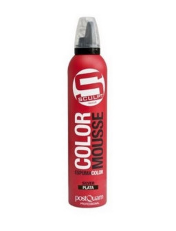 ESPUMA COLOR PQ 300 ML. PLATA