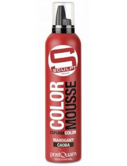 ESPUMA COLOR PQ 300ML. CAOBA