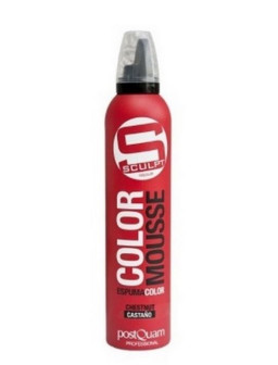 ESPUMA COLOR PQ 300 ML....