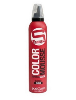 ESPUMA COLOR PQ 300 ML. RUBIO