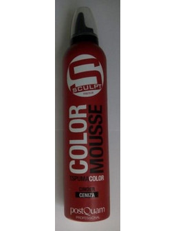 ESPUMA COLOR PQ 300 ML. CENIZA