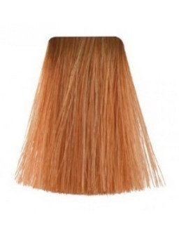 TINTE PQ 60 GR Nº 10-4 -...