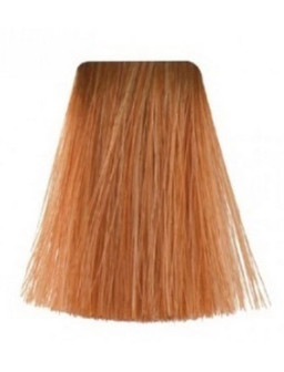 TINTE PQ 60 GR Nº 09-4 -...